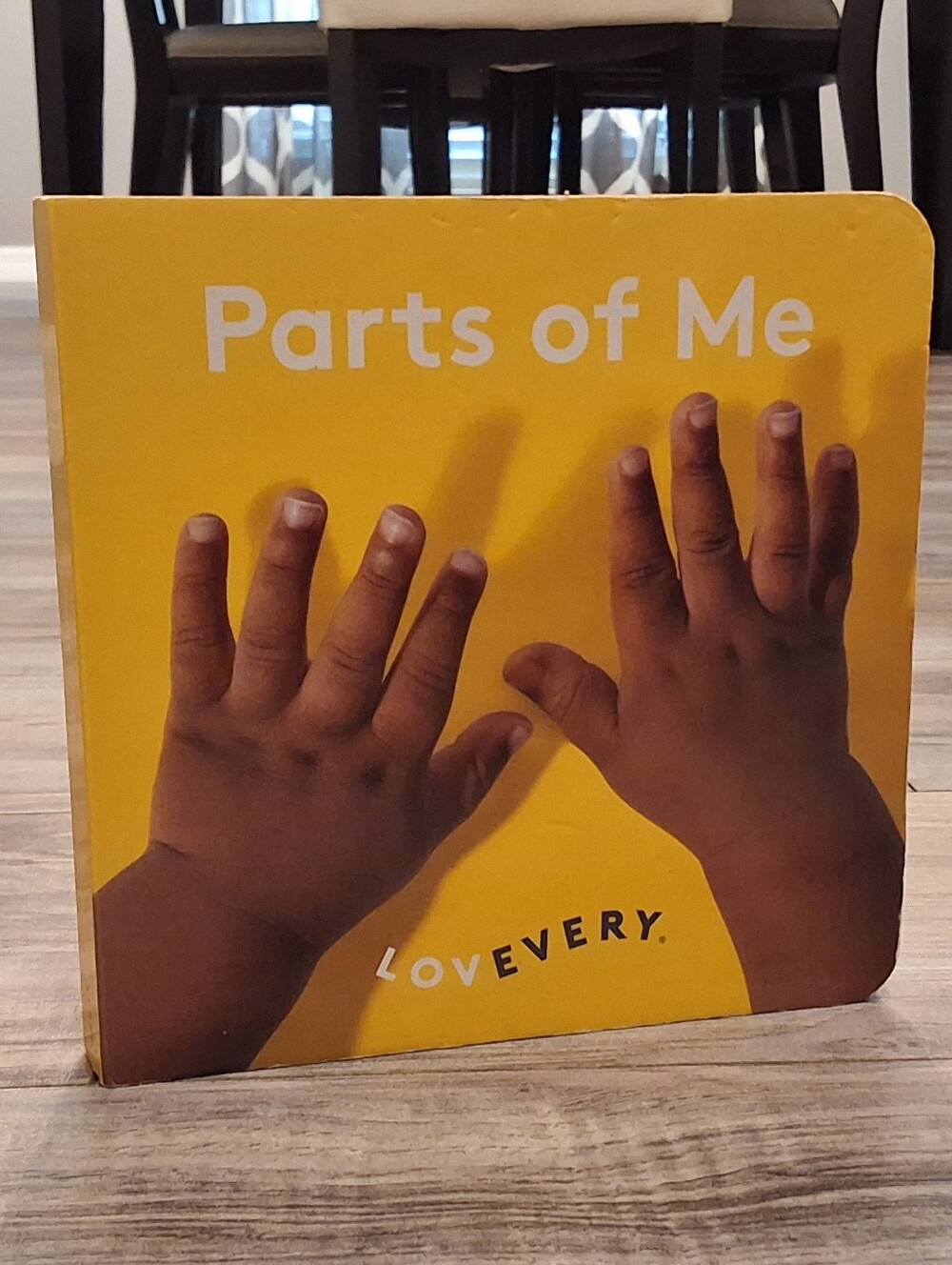Lovevery Parts of Me Book The Senser Play Kit Months 5-6